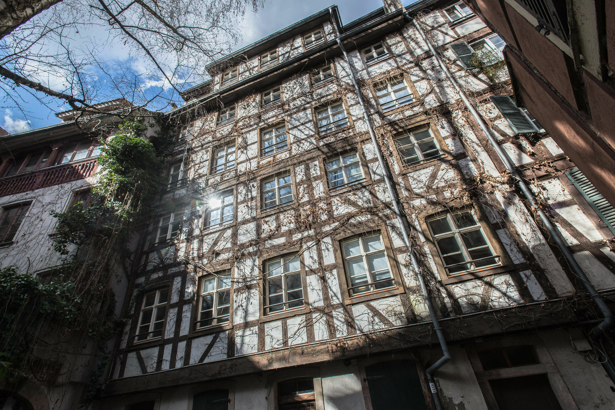 Appartement Des Moulins Strasbourg Eksteriør billede