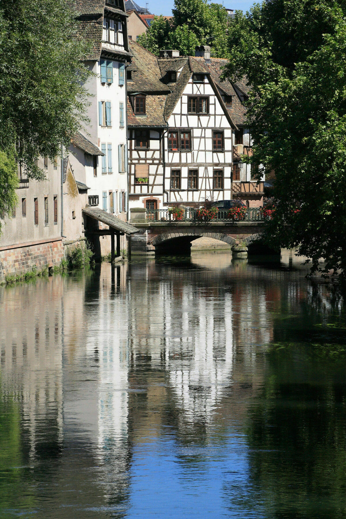 Appartement Des Moulins Strasbourg Eksteriør billede